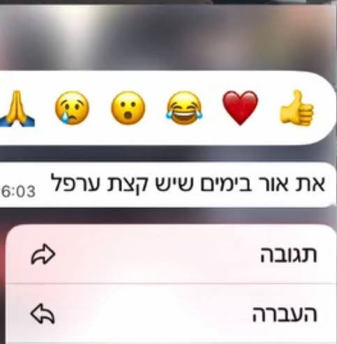 צילום המלצה מקורית 15